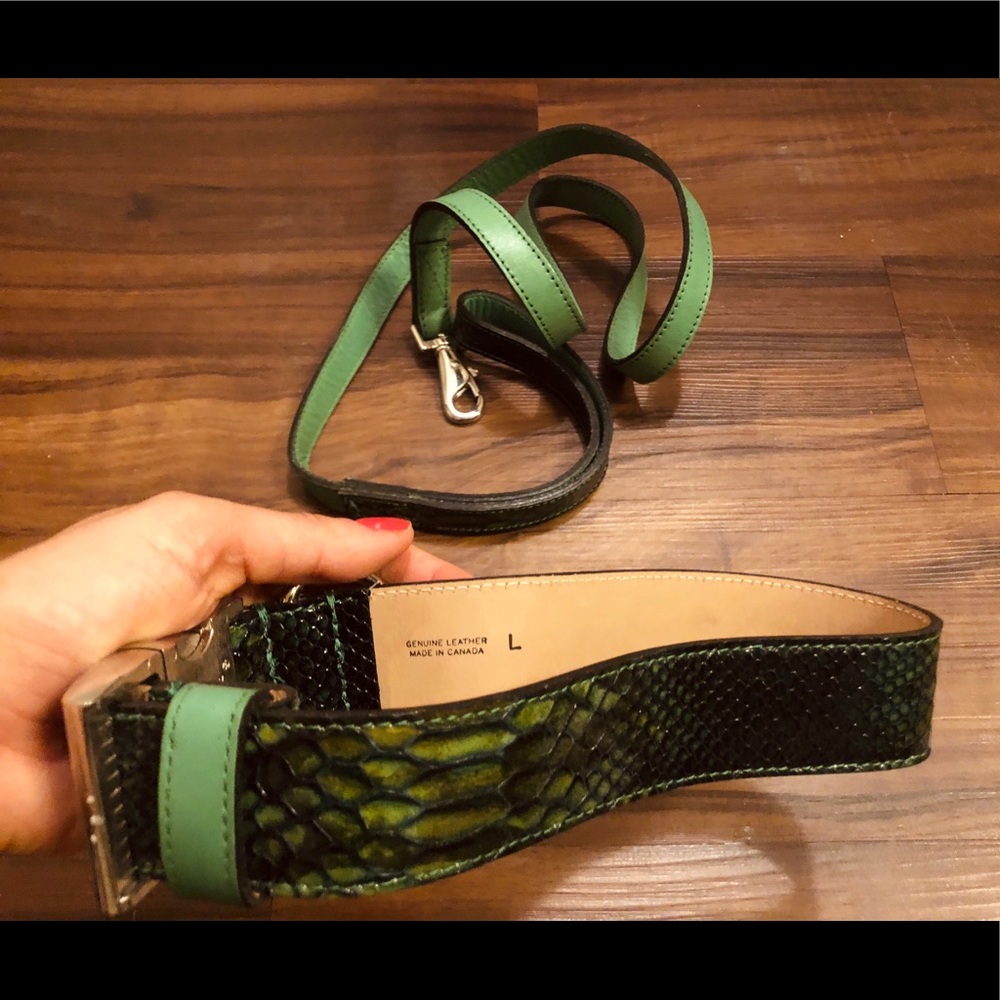 🐩 Fancy Leather Large Dog Leash and Collar